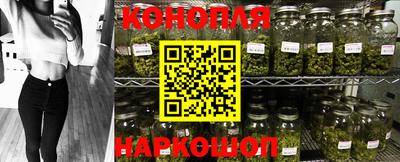 спиды Коммунар