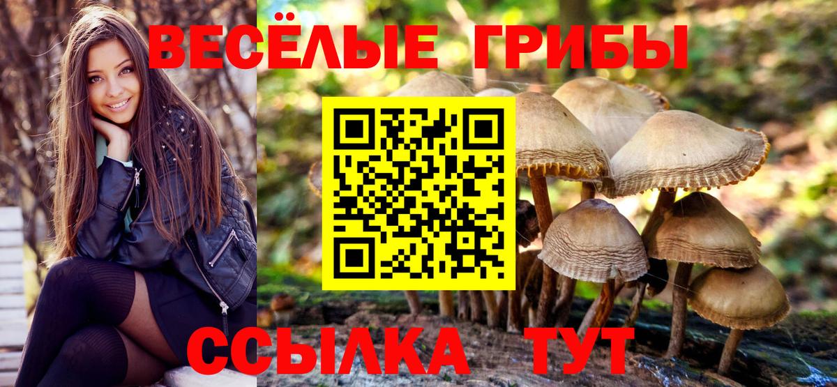 Галлюциногенные грибы GOLDEN TEACHER  где найти наркотики  Елизово  Вход с VPN 